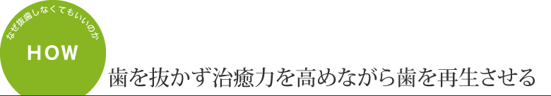 歯を抜かず治癒力を高めながら歯を再生させる